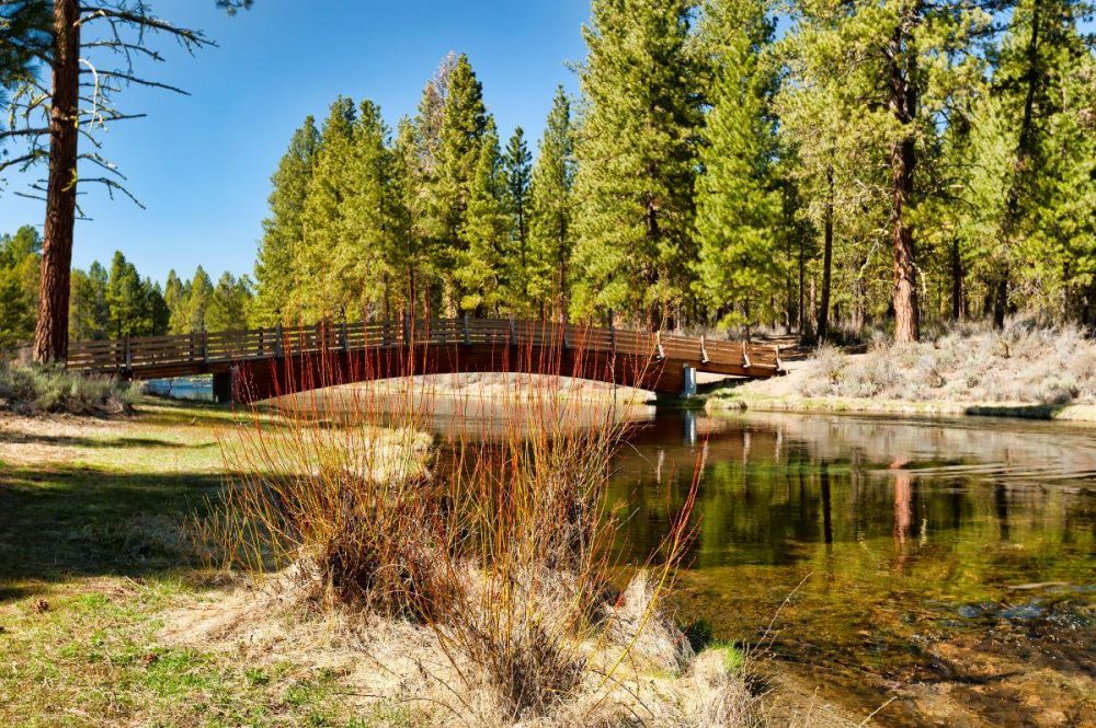 A pedestrian bridge crosses Spring Creek at Collier Memorial State Park near Chiloquin. Evergreen trees stand in the background.