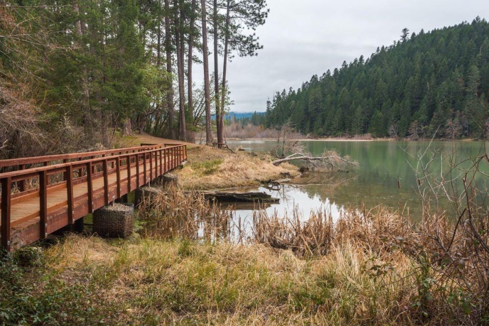A wooden pedestrian bridge crosses a stream in Selmac Lake Park near Selma.
