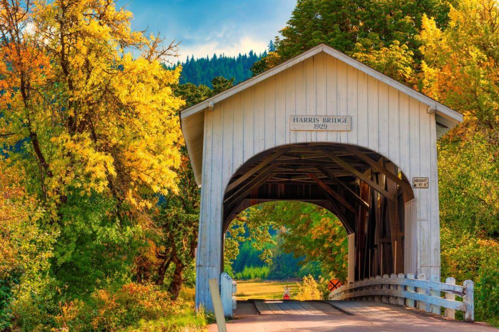 Harris Bridge crosses Marys River in Harris, near Philomath.